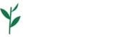 Andrea Baffa Scirocco Psicologo Pistoia Firenze